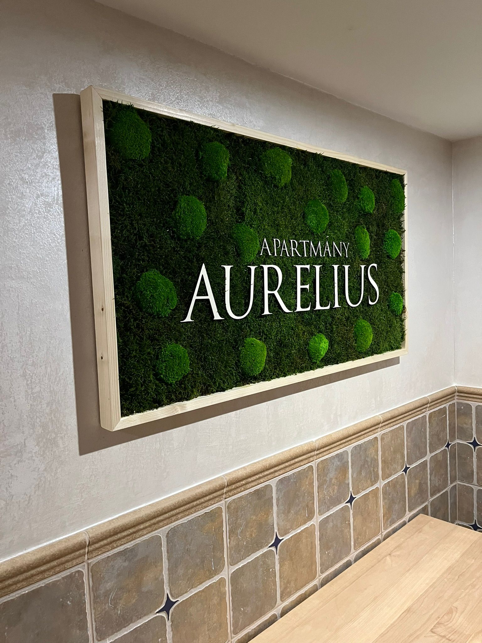 WhatsApp Image 2026-02-20 at 08.14.07 (1)